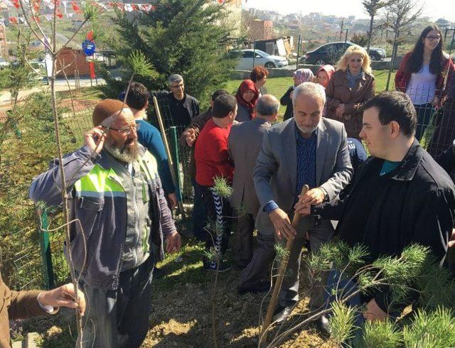 Otizme Farkındalık Oluşturmak İçin Fidan Diktiler