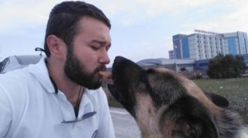 Hava Ambulansının Kayıp Bek&ccedil;i K&ouml;peğini Bulana Bin Lira &Ouml;d&uuml;l