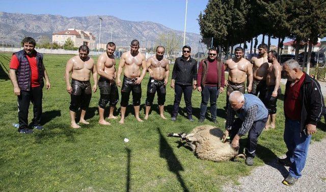 Döşemealtı Güreş Takımı Yağlı Antrenmanlara Başladı