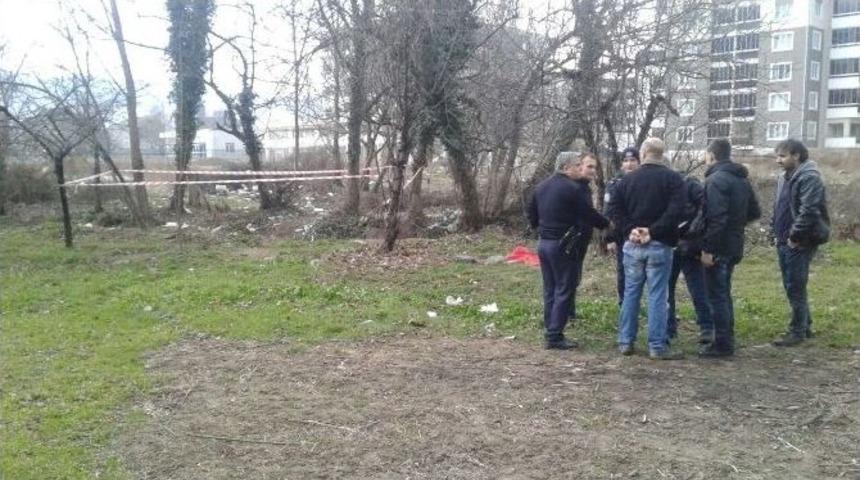 Bursa&rsquo;da Bonzai Kabusu: 1 G&uuml;nde 4 Can