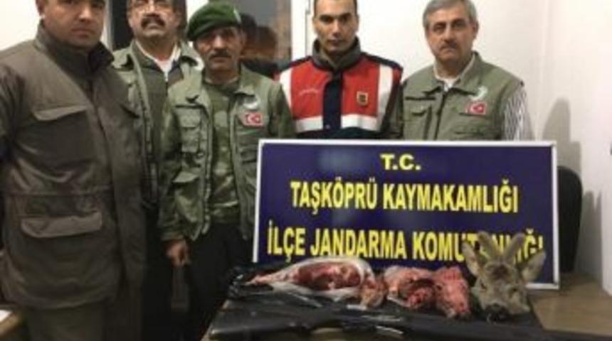 Karaca Avlayan Avcılara 13 Bin Tl Ceza