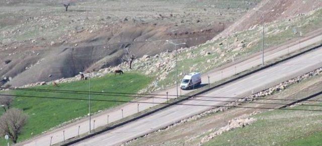 Şırnak'ta Pkk'dan Bombalı Tuzak; 1 Şehit, 5 Yaralı (2)