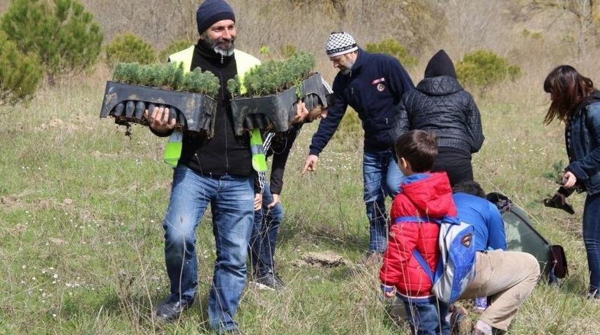 &Ccedil;ek&uuml;d Ve Atikder &Ouml;nc&uuml;l&uuml;ğ&uuml;nde 10 Bin Fidan Dikildi