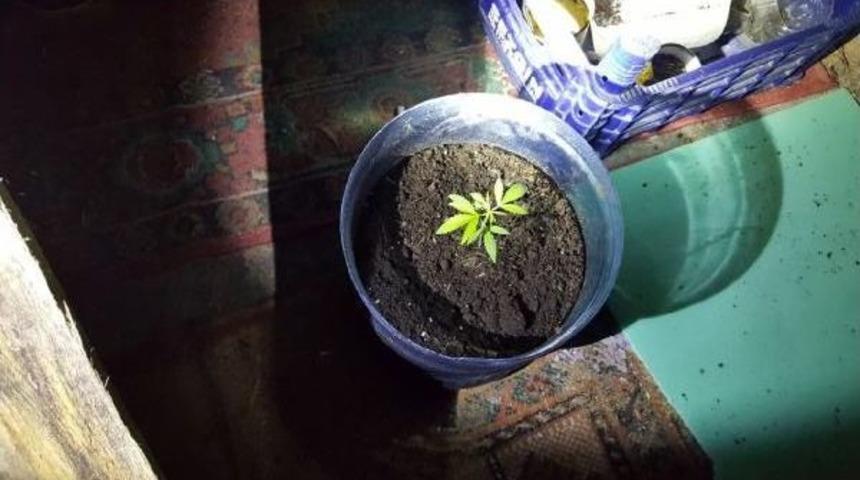 Uyuşturucu Operasyonunda 2 Kişi G&ouml;zaltında