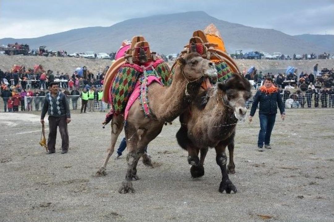 Menemen&rsquo;de Deve G&uuml;reşi Festivali