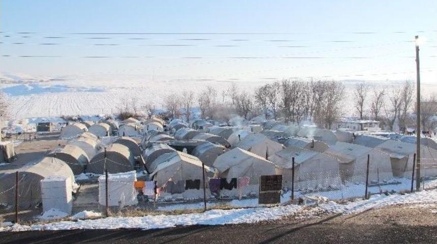 Ezidilerin Eksi 15 Derecede Yaşam M&uuml;cadelesi