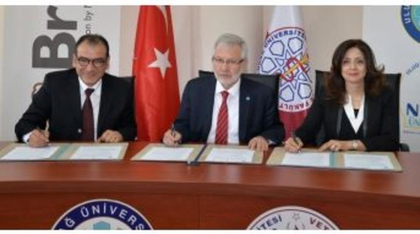 &Uuml;niversiteden Kedi Ve K&ouml;peklere &Uuml;cretsiz Mama Desteği