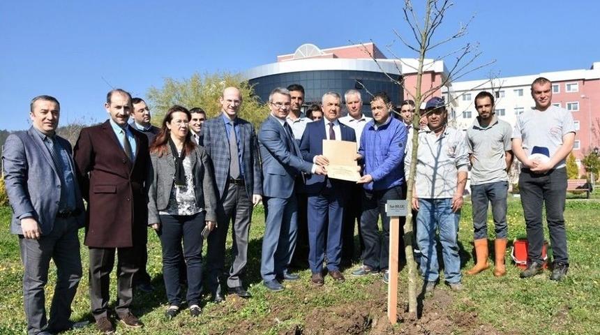 Om&uuml;&rsquo;de Fidanlar Toprak İle Buluşuyor