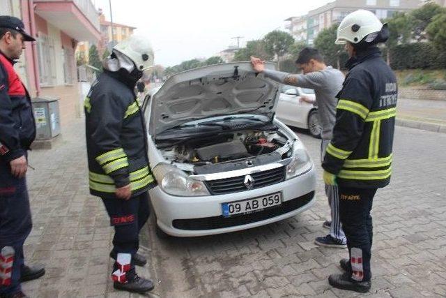 Aydın İtfaiyesinden Kedi Seferberliği