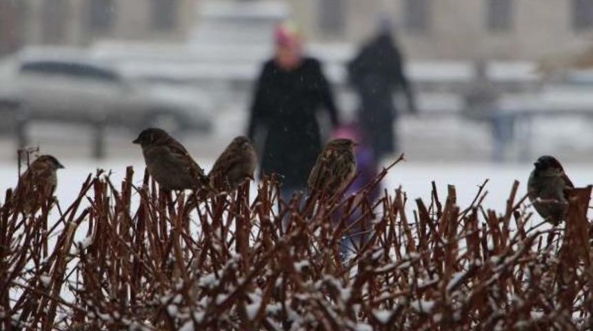 Sivas'ta Kar Yağışı