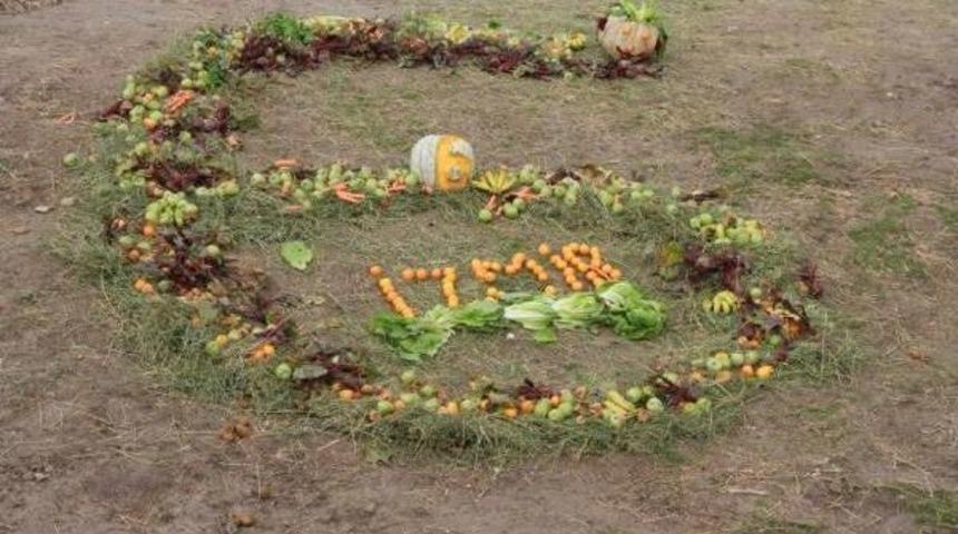 T&uuml;rkiye'de Doğan Ilk Fil Olan İzmir 6 Yaşında