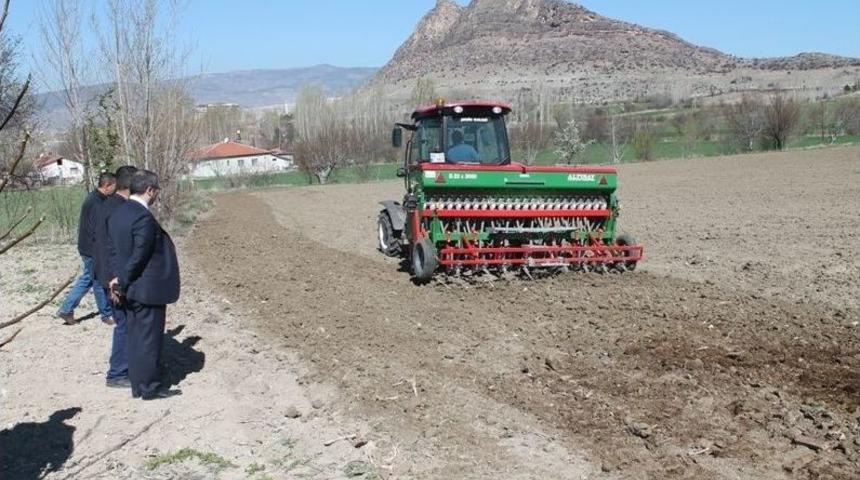 Turhal&rsquo;da İlk Defa &Ccedil;&ouml;rek Otu Ekimi Yapıldı