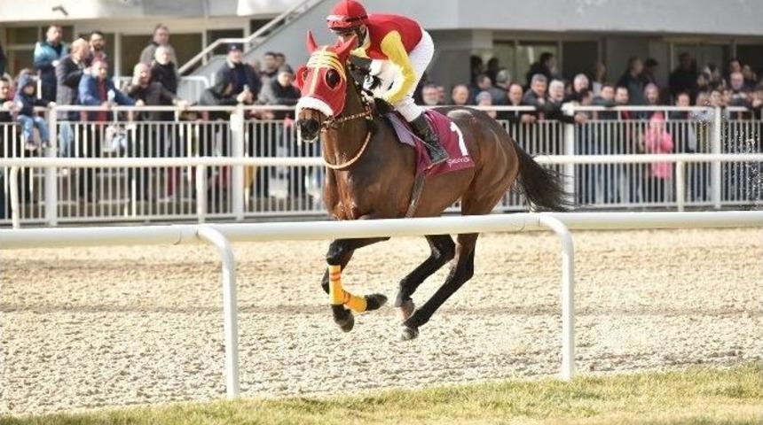 Urla Koşusunu "babad&ouml;ker" Kazandı