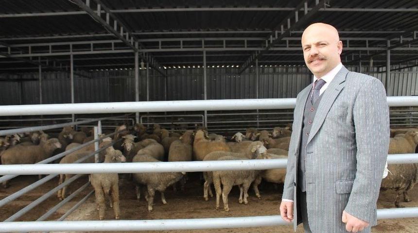 Kırsal Kalkınma Destekleri Kapsamında Gen&ccedil; &Ccedil;ift&ccedil;i Projelerinin Desteklenmesi