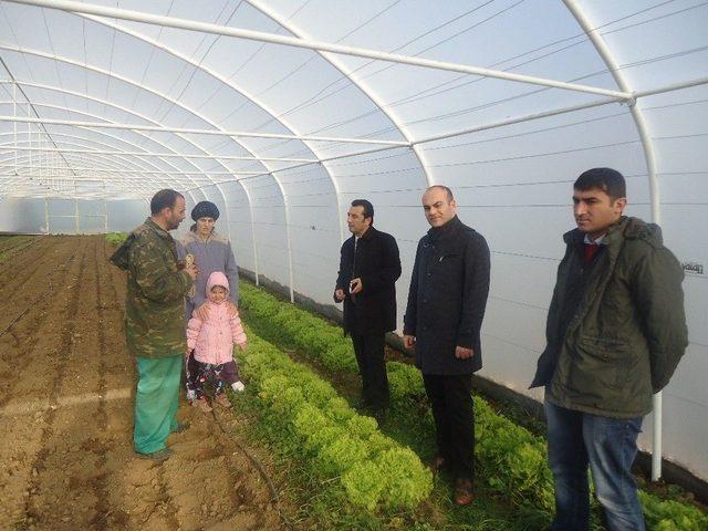 Kırsal Kalkınma Destekleri Kapsamında Genç Çiftçi Projelerinin Desteklenmesi