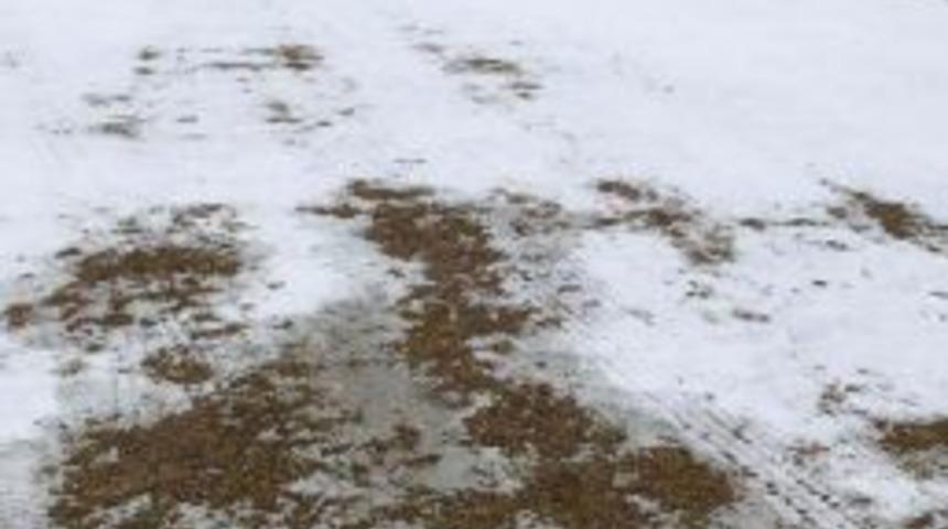 Karşıyaka'dan Buzlu Saha Tepkisi