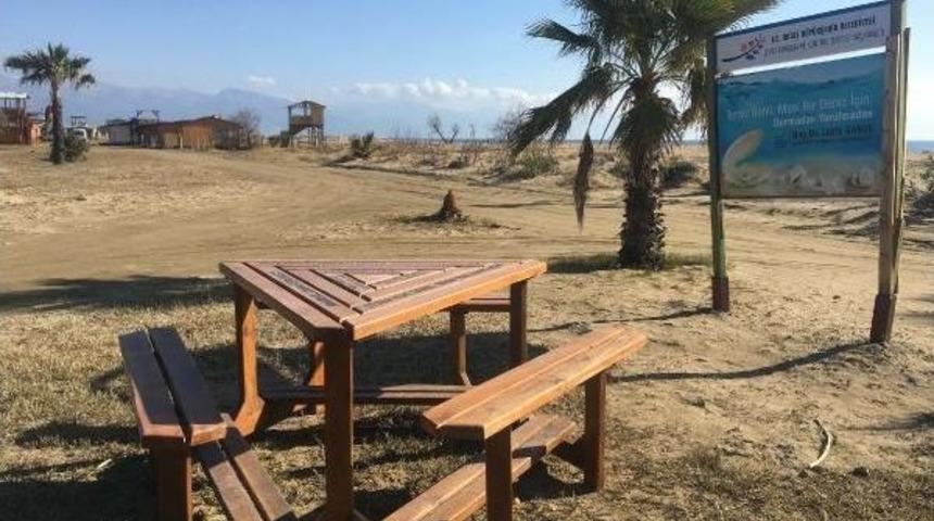 Sahildeki Barakaya Taşınıp Kanseri Yendi