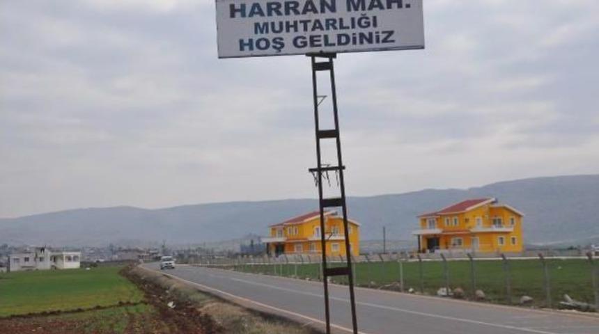 Harran, Eski G&uuml;nlerini Arıyor