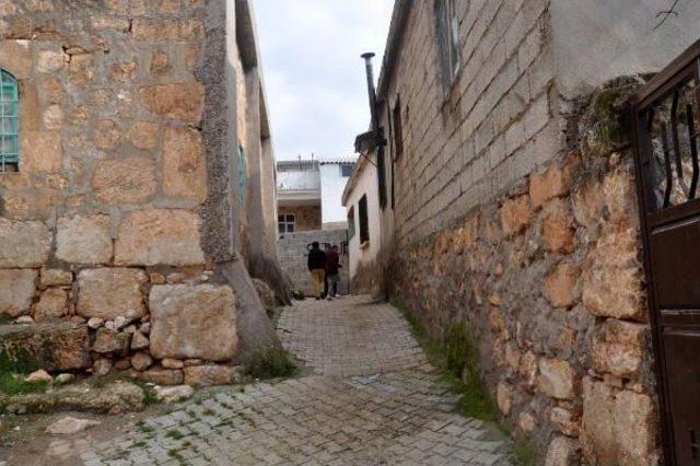 Harran, Eski Günlerini Arıyor