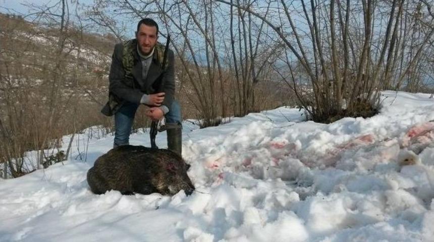 Avcılar Yaban Domuzlarına Ge&ccedil;it Vermiyor