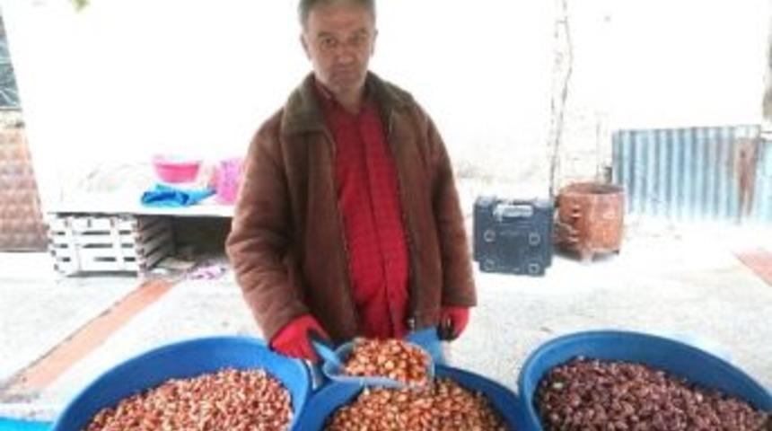 Tohumluk Kuru Soğan Fiyatları Yarı Yarıya D&uuml;şt&uuml;