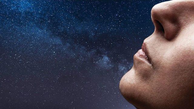 Her Şey Geçer, Koku Kalır 1