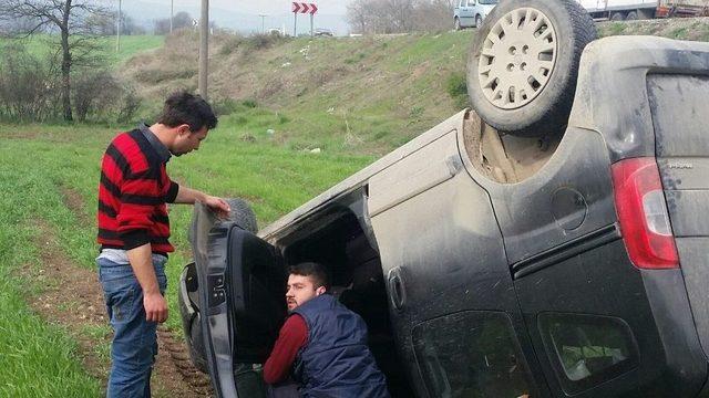 Kamyonet Buğday Tarlasına Devrildi: 1 Yaralı