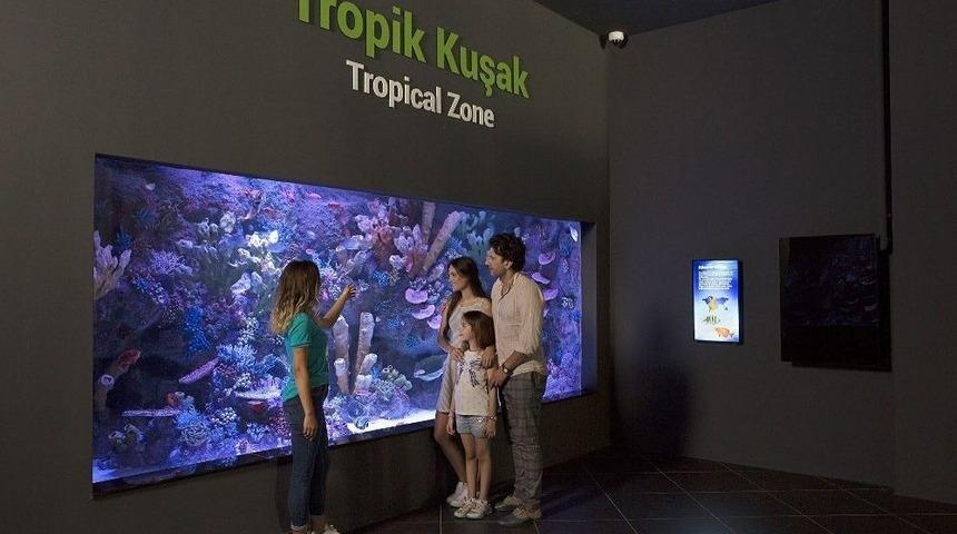 Eğlence Ve Eğitimi Birleştiren İmza