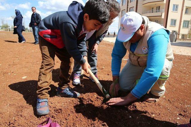 Minik Öğrenciler Diktikleri Fidanlarla Parkı Yeşillendirdi