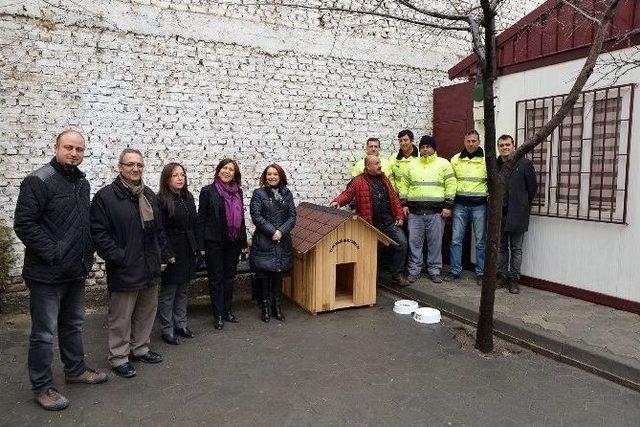 Sokak Hayvanları İ&ccedil;in &Uuml;&ccedil; Mahalleye Beş K&ouml;pek Kul&uuml;besi 1