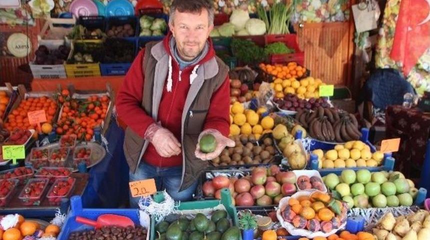 Hem Sağlık Hem De G&uuml;zelliğin Vazge&ccedil;ilmez Meyvesi