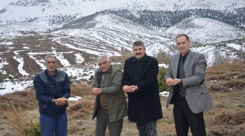 G&uuml;ny&uuml;z&uuml;&rsquo;nde Yaban Hayvanları İ&ccedil;in Araziye Yem Atıldı