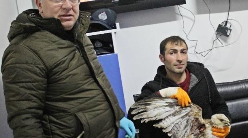 Yaralı Doğana Sahip &Ccedil;ıktılar