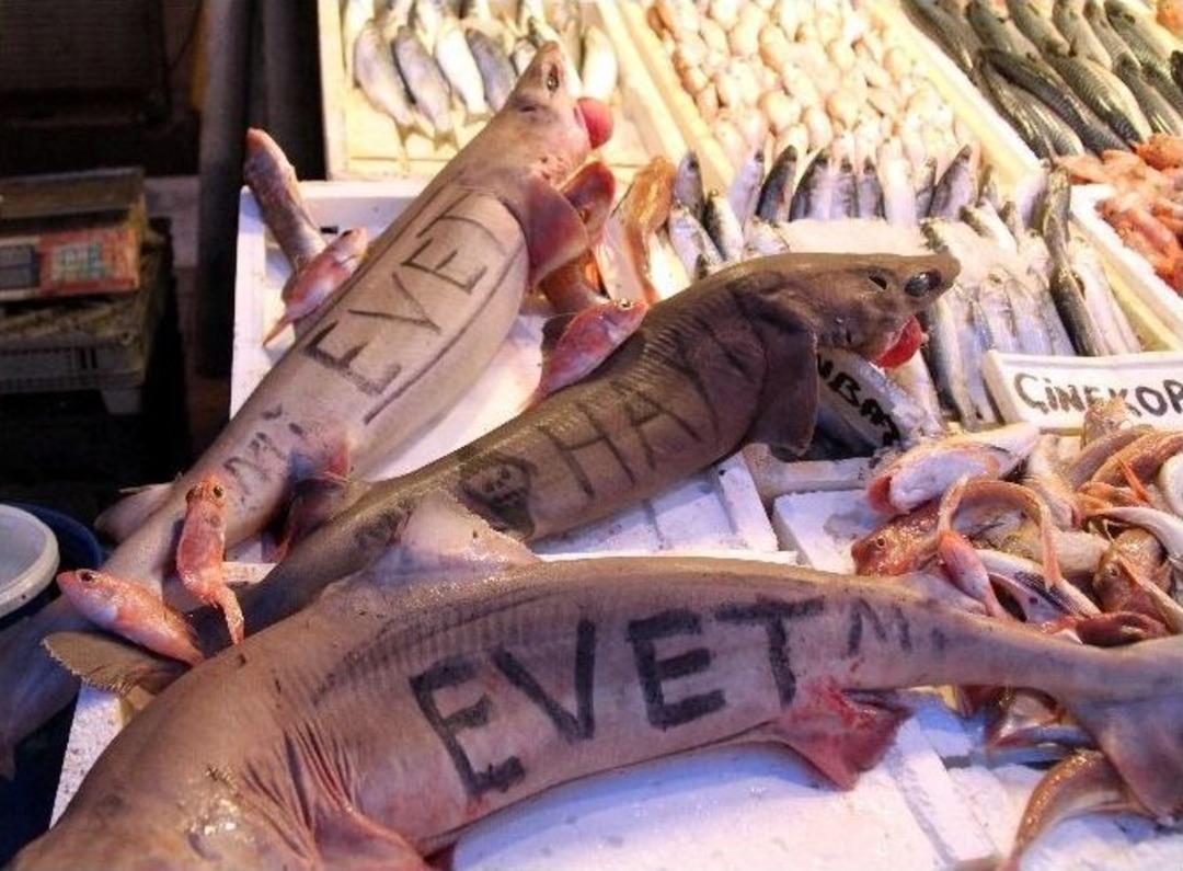 Mersinli Balık&ccedil;ılardan İlgin&ccedil; Referandum Halk Yoklaması