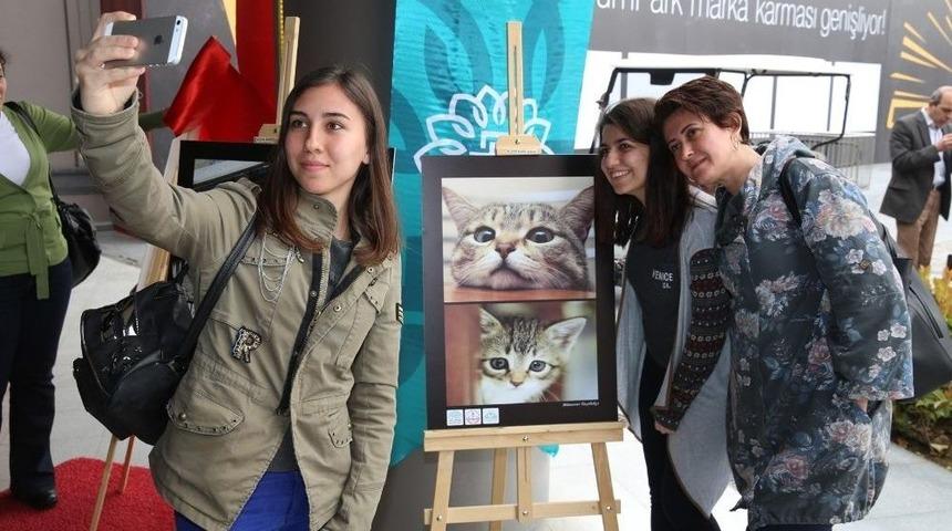 Can Dostlara Özel Fotoğraf Sergisi