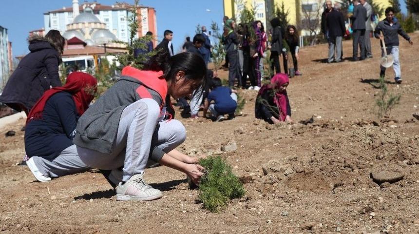 Elazığ&rsquo;da Belediyesinden Fidan Dikme Etkinliği