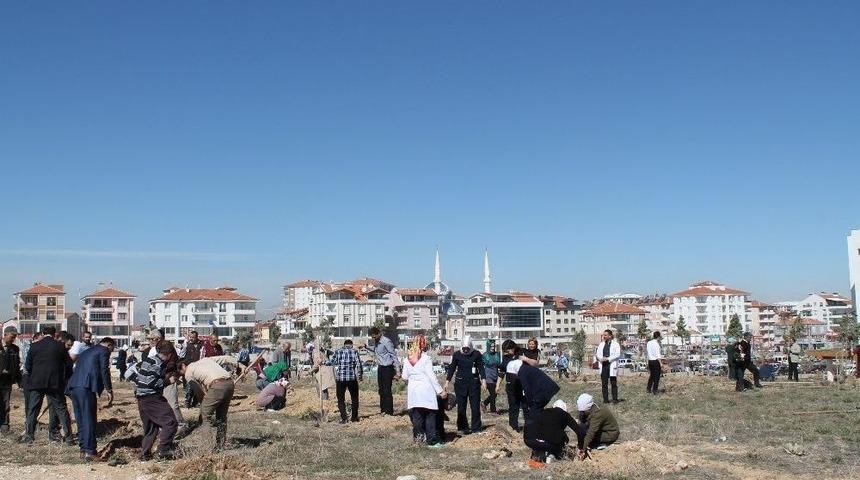 Sağlık &Ccedil;alışanları İle Hastalar, Hastane Bah&ccedil;esine 900 Fidan Dikti