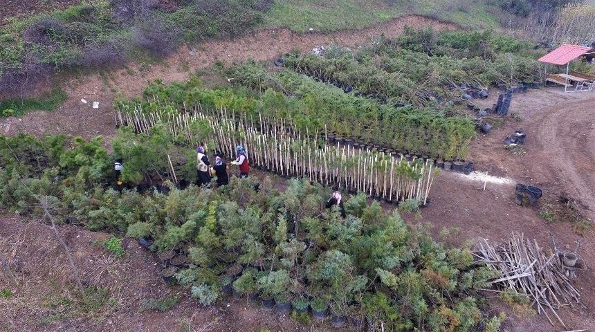 Başiskele&rsquo;de &Ccedil;evre D&uuml;zenlemesi Ve Peyzaj &Ccedil;alışması