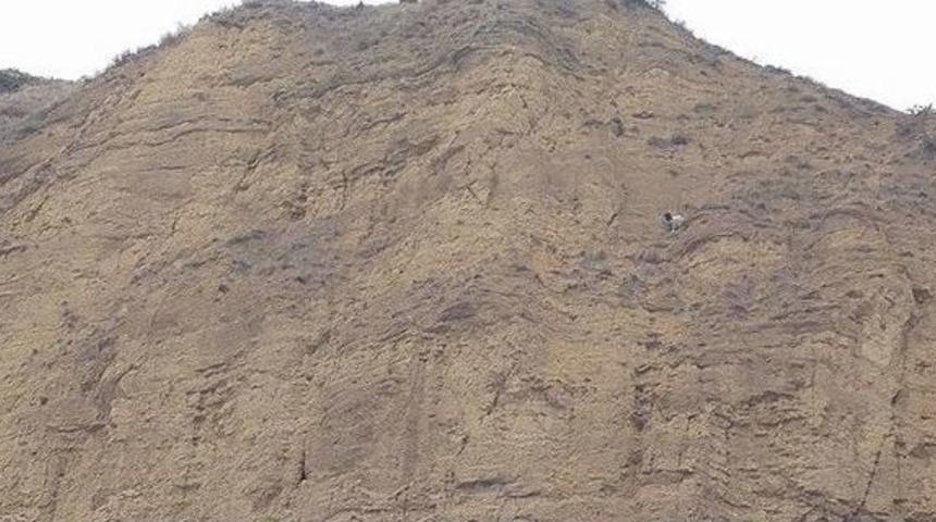 Tosya&rsquo;da İtfaiyeden Ke&ccedil;i Kurtarma Operasyonu