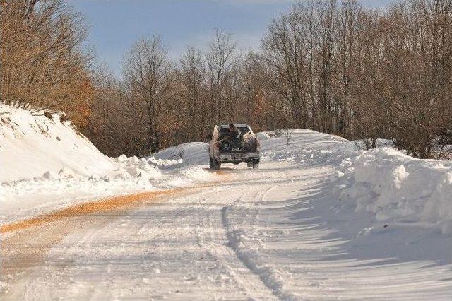 Yaban Hayvanları İ&ccedil;in Yemleme &Ccedil;alışması 1