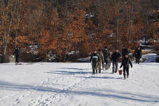 Yaban Hayvanları İ&ccedil;in Yemleme &Ccedil;alışması 2