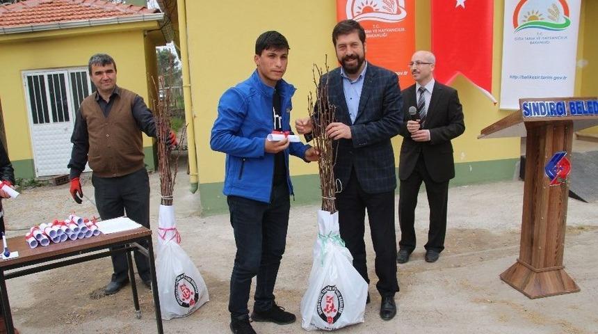 Sındırgı&rsquo;da H&uuml;nnap Fidanı Dağıtıldı