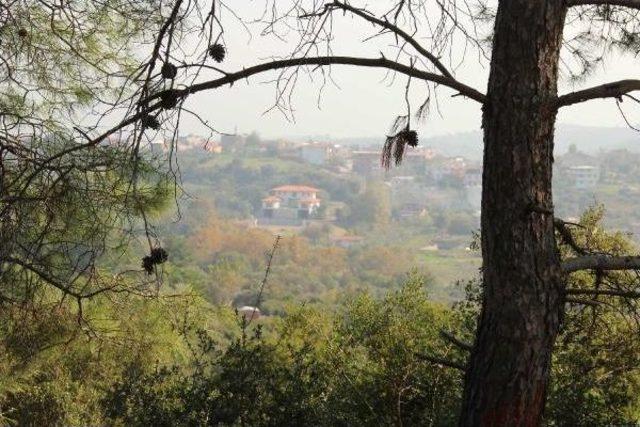 Kuşadası'nda Taş Ocağı Tepkisi