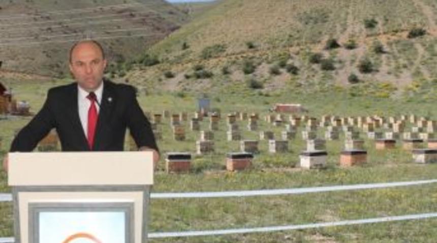 Bayburt Arıcılıkta Ballanmaya Başladı