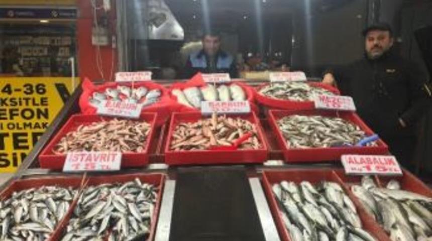 Balık Fiyatları Tavan Yaptı