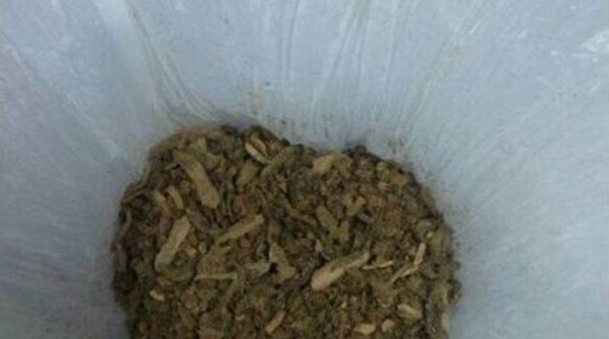 Erzincan Da Uyuşturucu Operasyonu; 1 Tutuklama