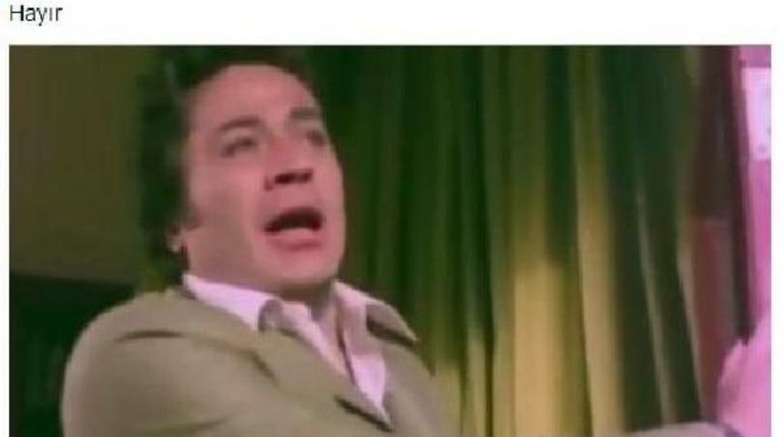 Chp&rsquo;Li Vekilden Yeşil&ccedil;amlı 'hayır' &Ccedil;ağrısı