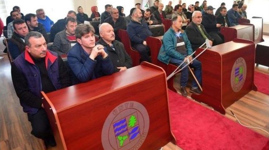 &Uuml;nye&rsquo;de Yeni Kapalı &Ccedil;arşı İ&ccedil;in Son İhale Yapıldı