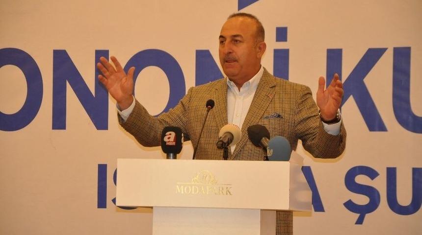 Bakan &Ccedil;avuşoğlu: "avrupa&rsquo;nın Aptalca Hareketleri Bize Oy Getirdi"