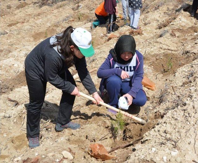 Korkuteli İlçesinde Bin 200 Fidanı Toprakla Buluştu 1